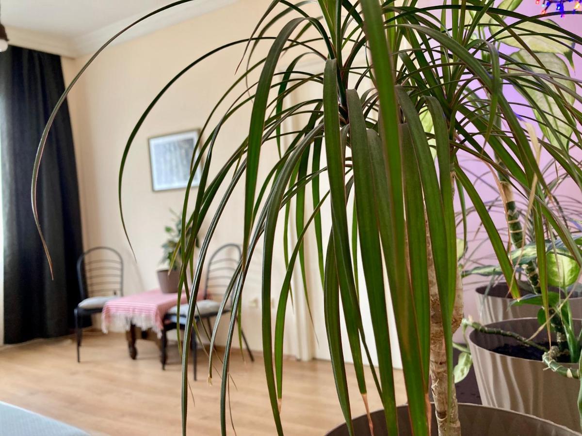 Terazije Square Lux Apartment Bělehrad Exteriér fotografie